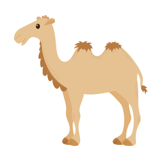 th camel