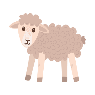 th sheep