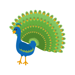 th peacock