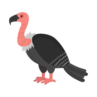 th vulture